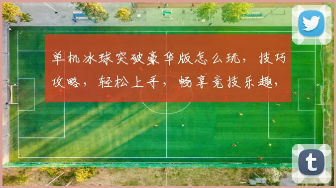 单机冰球突破豪华版怎么玩，技巧攻略，轻松上手，畅享竞技乐趣，三大要点必看