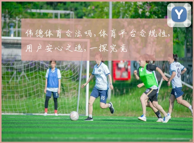 伟德体育合法吗,体育平台合规性,用户安心之选,一探究竟