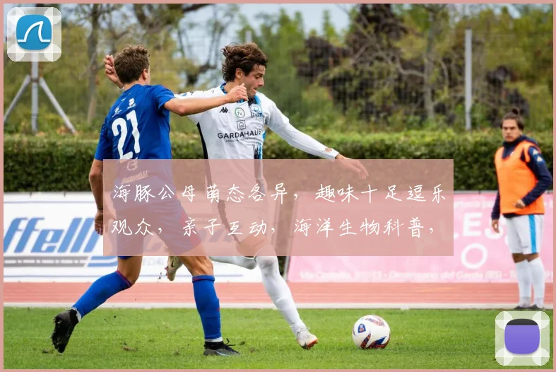 海豚公母萌态各异，趣味十足逗乐观众，亲子互动，海洋生物科普，一睹为快