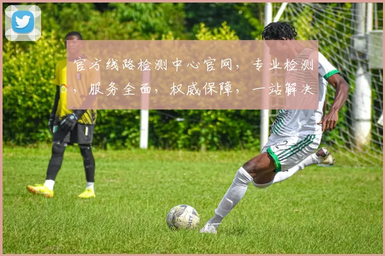 官方线路检测中心官网，专业检测，服务全面，权威保障，一站解决，值得信赖，三重优势，一网打尽。